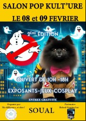 2e salon Pop Kulture
