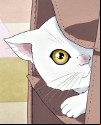 Kimi to Boku. 2