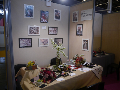 Japan Expo 2013