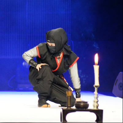 Japan Expo 2013