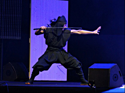 Japan Expo 2013
