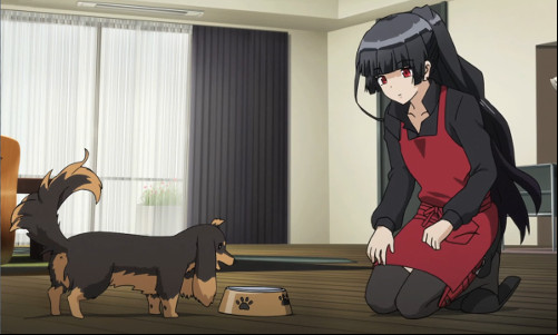 Inu to Hasami wa Tsukaiyô